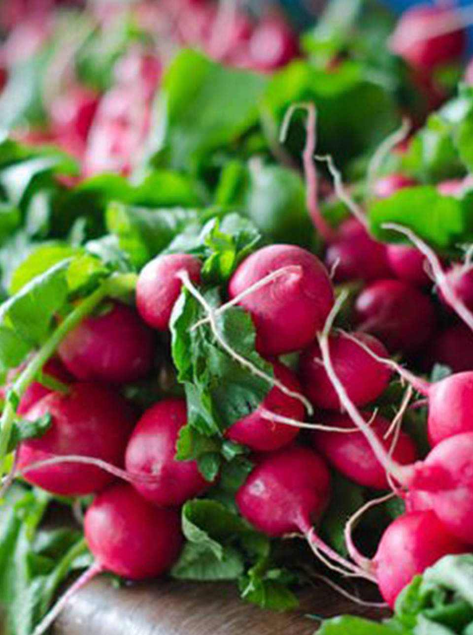hygrometrie-rayons-fruits-et-legumes Traitement des odeurs par brumisation